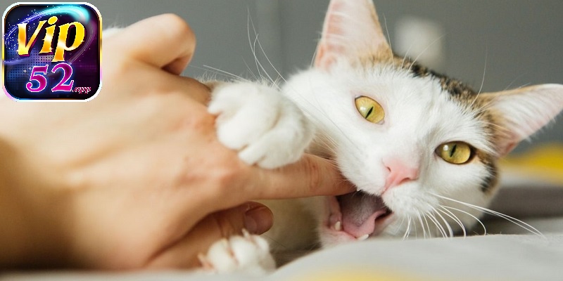 Người chơi nhớ càng rõ chi tiết trong giấc mơ càng dễ tìm được con số phù hợp